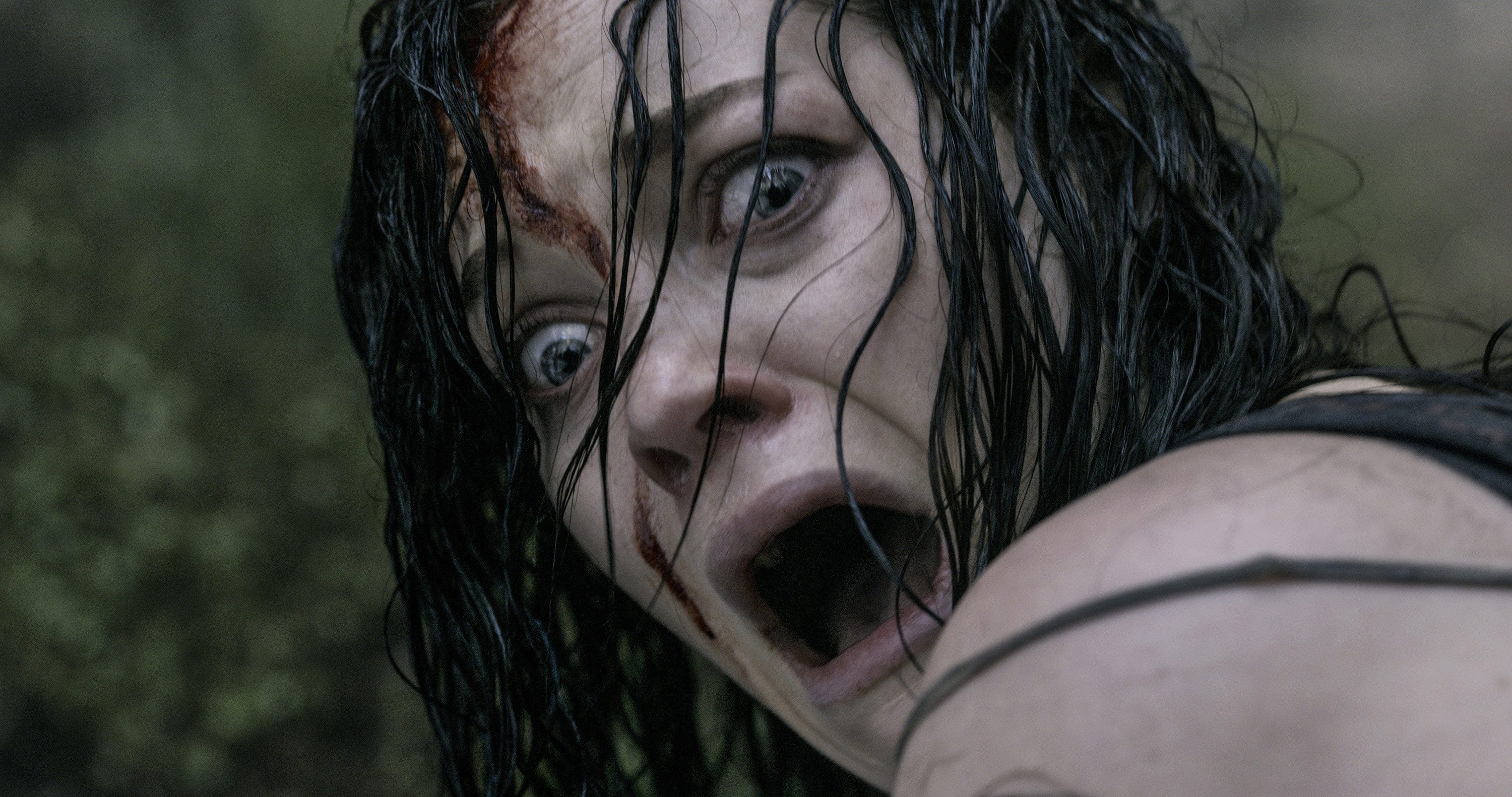Photo du film Evil Dead réalisé par Fede Álvarez avec Mia (Jane Levy)