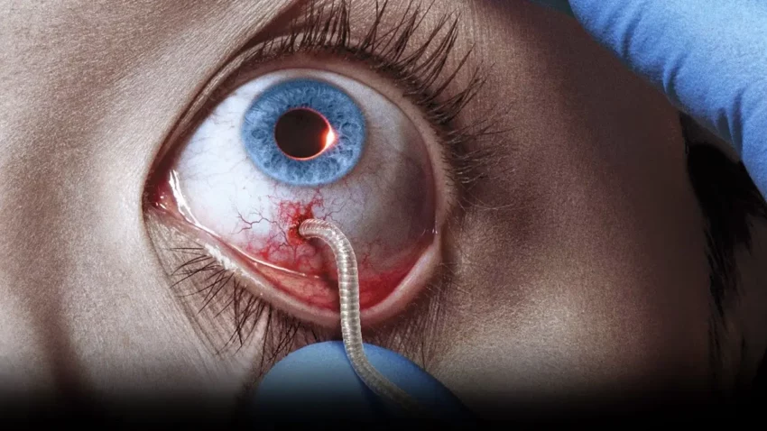 Bannière de la saison 1 de la série The Strain créée par Guillermo del Toro et Chuck Hogan.