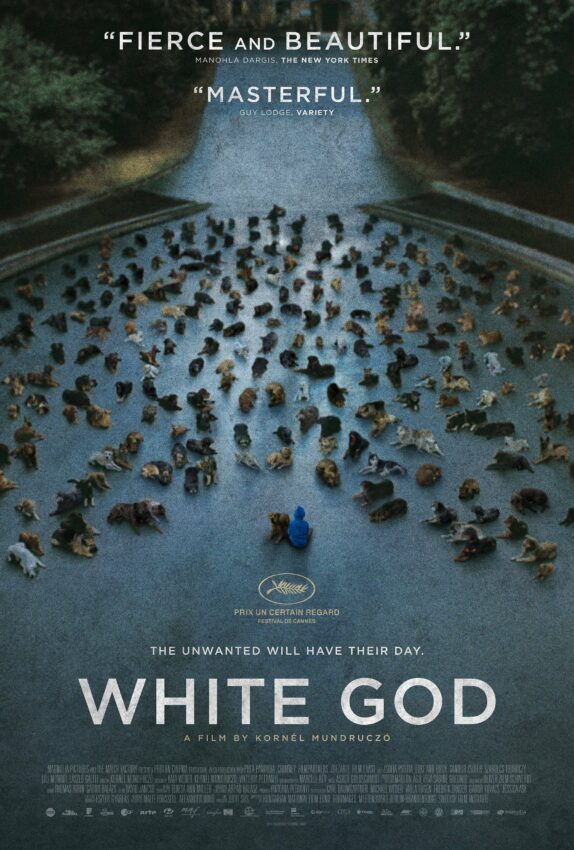 Poster de White God