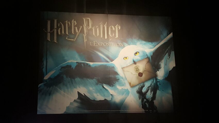 Photo d'Harry Potter : L'exposition à la Cité du cinéma