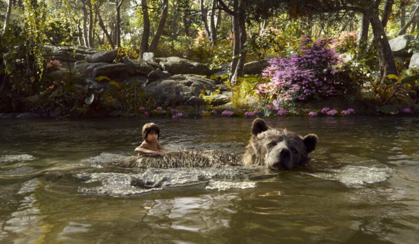 Photo de Le Livre de la Jungle avec Baloo