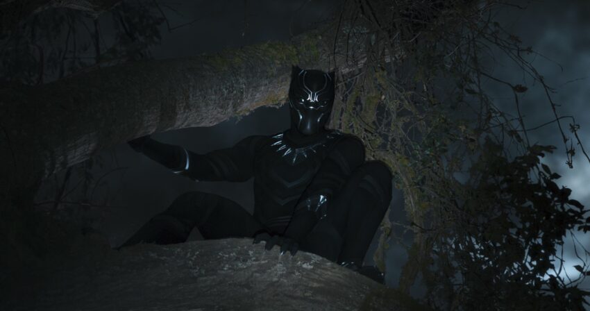 Photo de Black Panther dans les arbres et éclairé à la lampe torche