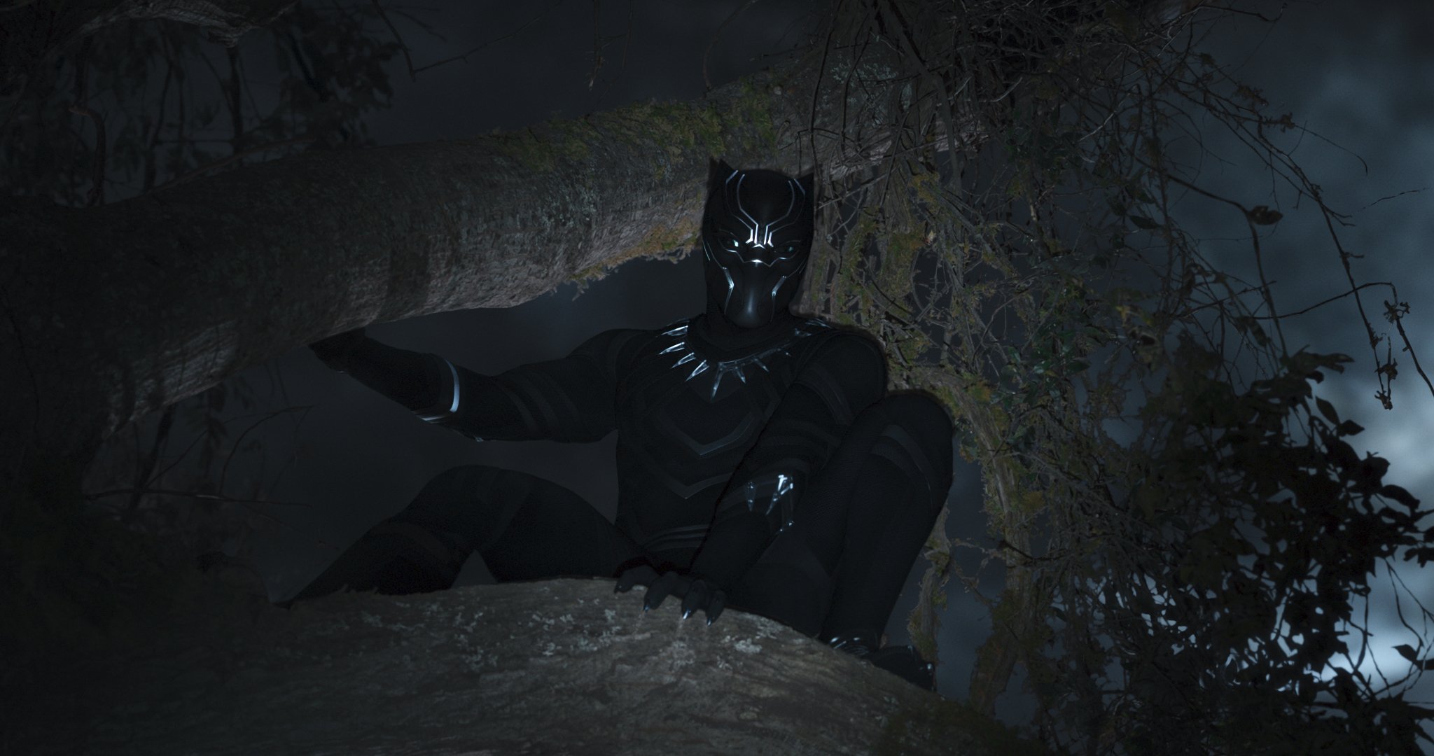 Photo du film Black Panther réalisé par Ryan Coogler avec Black Panther dans les arbres et éclairé à la lampe torche