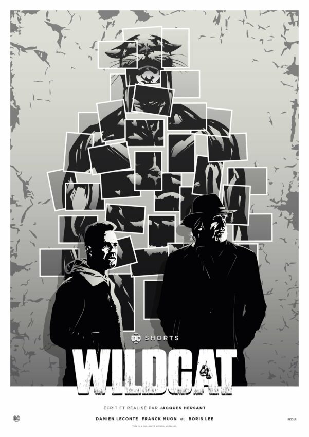 Poster de Wildcat, a DC Shorts Fan Film avec Damien Leconte