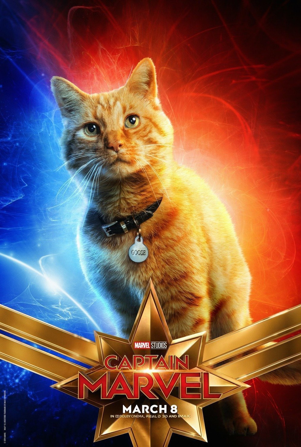 Poster du film Captain Marvel avec le chat Goose
