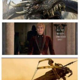 Mème du cinquième épisode la huitième saison de la série Game of Thrones montrant le souhait de Cersei