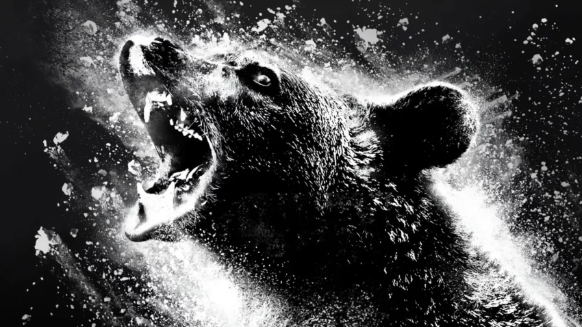 Bannière du film sorti en 2023, Crazy Bear.